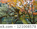 平安神宮 121008578