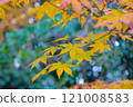 平安神宮 121008583