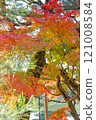 平安神宮 121008584