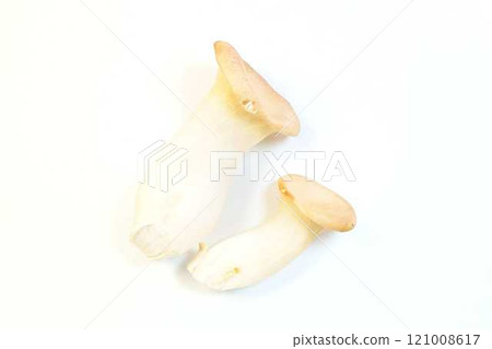 King oyster mushroom 121008617