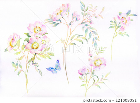 Creative Floral Illustrations with Hand Painted Details 121009051