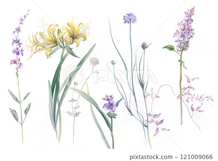 Creative Floral Illustrations with Hand Painted Details 121009066