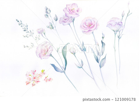 Inspiring Watercolor and Oil Art of Curly and Flowers Inspiring Watercolor and Oil Art of Curly and Flowers 121009178