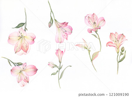 Inspiring Watercolor and Oil Art of Curly and Flowers 121009190