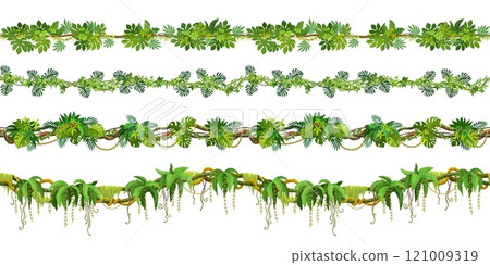 Tropical jungle forest liana seamless vine branches. Vector banner borders of exotic climbing plant liana garlands with green vines, branches and hanging stalks, ivy, wisteria and monstera leaves Tropical jungle forest liana seamless vine branches. Vector banner borders of exotic climbing plant liana garlands with green vines, branches and hanging stalks, ivy, wisteria and monstera leaves 121009319