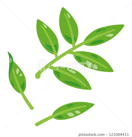新鮮綠茶葉 121009411