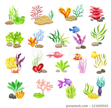 Colorful Sea Bed and Ocean Bottom with Algae and Stone Vector Set 121009503