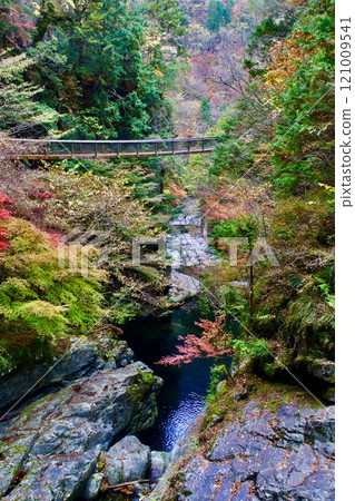 御手洗溪谷（奈良縣天川村） 121009541