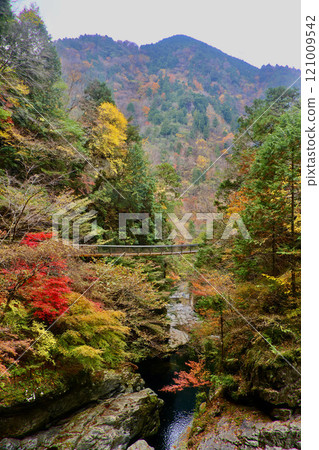 御手洗溪谷（奈良縣天川村） 121009542