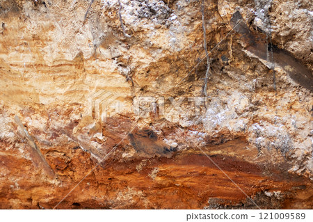 A detailed close up view of a rock that is covered with a lot of dirt 121009589