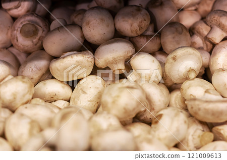 A large pile of brown mushrooms that has a white stem on them 121009613