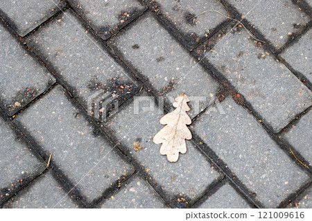 A single green leaf is gently laying on a brick sidewalk right now 121009616