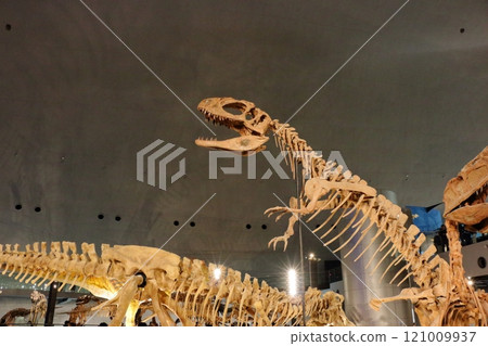 Exhibits in the Fukui Prectural Dinosaur Museum located in Katsuyama near Fukui Japan Exhibits in the Fukui Prectural Dinosaur Museum located in Katsuyama near Fukui Japan 121009937