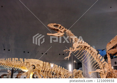 Exhibits in the Fukui Prectural Dinosaur Museum located in Katsuyama near Fukui Japan Exhibits in the Fukui Prectural Dinosaur Museum located in Katsuyama near Fukui Japan 121009938