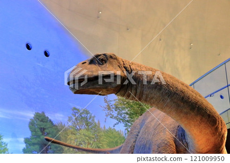 Exhibits in the Fukui Prectural Dinosaur Museum located in Katsuyama near Fukui Japan Exhibits in the Fukui Prectural Dinosaur Museum located in Katsuyama near Fukui Japan 121009950