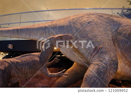 Exhibits in the Fukui Prectural Dinosaur Museum located in Katsuyama near Fukui Japan 121009952