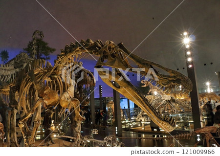Exhibits in the Fukui Prectural Dinosaur Museum located in Katsuyama near Fukui Japan Exhibits in the Fukui Prectural Dinosaur Museum located in Katsuyama near Fukui Japan 121009966