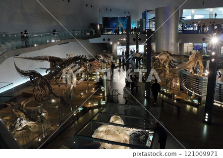 Exhibits in the Fukui Prectural Dinosaur Museum located in Katsuyama near Fukui Japan 121009971