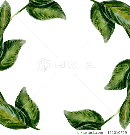 A leafy border with intricate botanical details. Foliage in soft green hues encircles the frame. Nature elegance captured in minimalist style. A vibrant design perfect for eco-themed projects 121010729