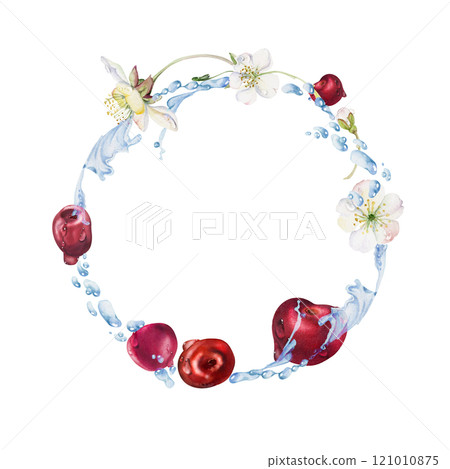 Sweet cherry cerise flying in water splashes drops, hand drawn in watercolor, red garden berry, white flowers leaves. Circle wreath frame illustration. Restaurant cafe menu, farmers market, wedding Sweet cherry cerise flying in water splashes drops, hand drawn in watercolor, red garden berry, white flowers leaves. Circle wreath frame illustration. Restaurant cafe menu, farmers market, wedding 121010875