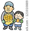A farmer and his child harvesting mandarin oranges 121010889