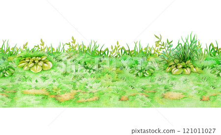Green fresh grass background seamless border on white background. Hand drawn watercolor illustration. Lush grass meadow countryside landscape element. Spring season natural plants background Green fresh grass background seamless border on white background. Hand drawn watercolor illustration. Lush grass meadow countryside landscape element. Spring season natural plants background 121011027