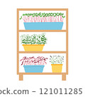 Hand drawn microgreens in pots. Vector illustration in flat style isolated on white background. Micro green. Beets, lettuce, cabbage, sorrel, onion, radish, arugula, peas. Growing superfood at home. 121011285