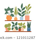 Indoor plants in a pot on a shelf. House plants are on a shelf. Vector illustration.Flat style. Modern plants in pots. 121011287