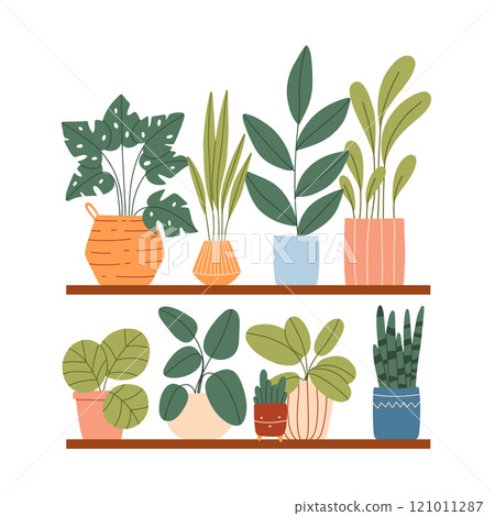 Indoor plants in a pot on a shelf. House plants are on a shelf. Vector illustration.Flat style. Modern plants in pots. 121011287