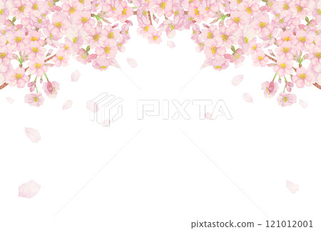 手繪水彩：櫻花暴風雪背景，有切口、樹枝和花蕾 121012001