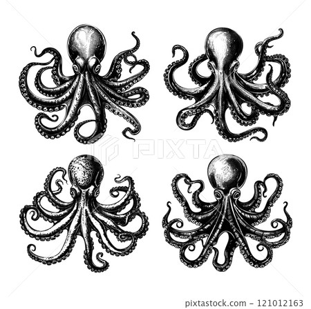 Engraving octopus. Marine creature with suction tentacles and cups, ocean squid mollusks animal, underwater hunter seafood hand drawn black ink sketches isolated vectors on white 121012163