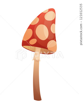 Fairytale house. Cartoon fairy house in form of mushroom. Vector illustration on white background 121012535
