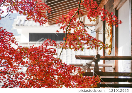 Autumn in Kyoto Ohara, Sanzen-in Temple, Enyu-bo and maple trees 121012935