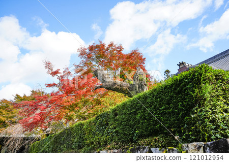 秋天的京都大原、三千院寺院內 秋天的京都大原、三千院寺院內 121012954
