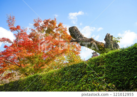 秋天的京都大原、三千院寺院內 121012955