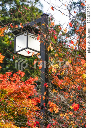 秋天的京都大原、三千院寺院內 秋天的京都大原、三千院寺院內 121012964