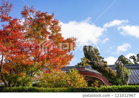 秋天的京都大原、三千院寺院內 秋天的京都大原、三千院寺院內 121012967