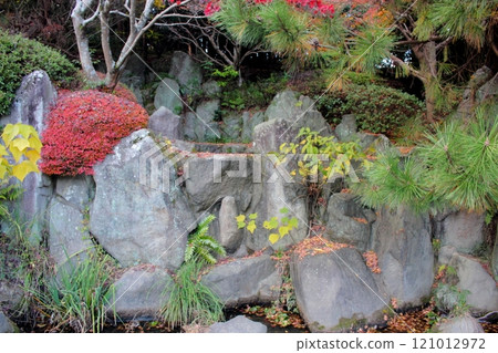 Kitakyushu City Cultural Memorial Park Japanese Garden (Waterfall) [Autumn Foliage] 121012972