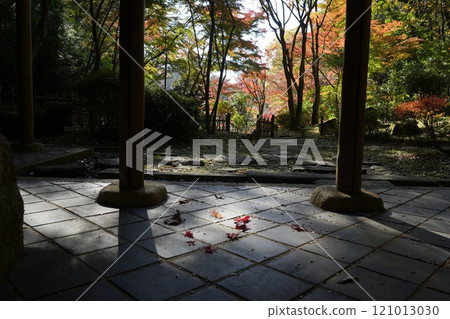 深秋的七澤森林公園 深秋的七澤森林公園 121013030