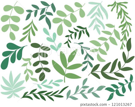 Spring set of green young leaves 121013267