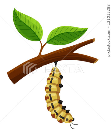 The Stage of the Butterfly Life Cycle Illustrated in a Beautiful and Colorful Design 121013288