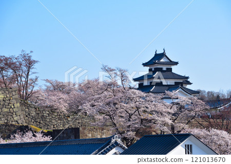 Sakurakei Shirakawa Komine Castle 121013670