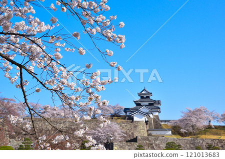 Sakurakei Shirakawa Komine Castle Sakurakei Shirakawa Komine Castle 121013683
