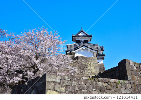 Sakurakei Shirakawa Komine Castle 121014411