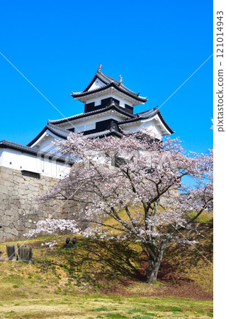 Sakurakei Shirakawa Komine Castle 121014943