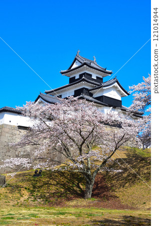 櫻井白川小峰城 121014944