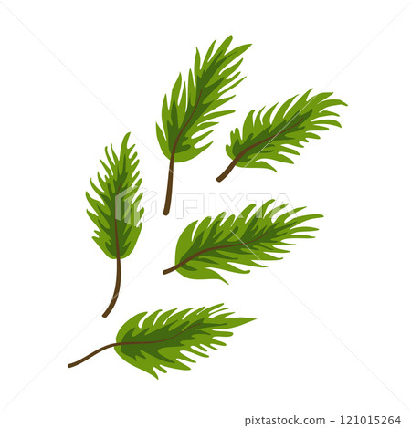 Vector green branch of Christmas tree for New Year. Isolated clipart for holiday design in flat style 121015264
