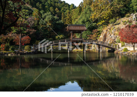 Autumn leaves at Eihoji Garden, a nationally designated scenic spot, 2024, Tajimi City, Gifu Prefecture 121017039