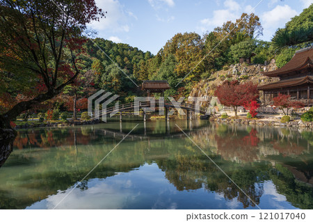 國家指定名勝永寶寺庭園 紅葉 2024 岐阜縣多治見市 國家指定名勝永寶寺庭園 紅葉 2024 岐阜縣多治見市 121017040