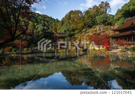 國家指定名勝永寶寺庭園 紅葉 2024 岐阜縣多治見市 國家指定名勝永寶寺庭園 紅葉 2024 岐阜縣多治見市 121017041
